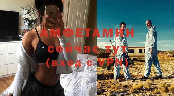 молекула духа Сосновый Бор