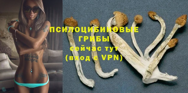 ПСИЛОЦИБИНОВЫЕ ГРИБЫ Алексеевка