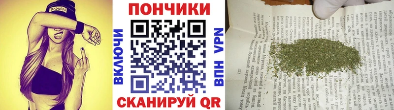 Бошки Шишки сатива  Димитровград 